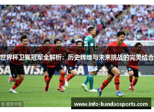 世界杯卫冕冠军全解析：历史辉煌与未来挑战的完美结合