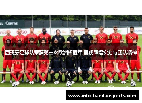 西班牙足球队荣获第三次欧洲杯冠军 展现辉煌实力与团队精神