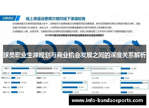 球员职业生涯规划与商业机会发展之间的深度关系解析