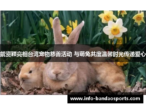 戴资颖亮相台湾宠物慈善活动 与萌兔共度温馨时光传递爱心