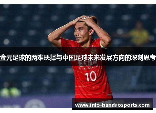 金元足球的两难抉择与中国足球未来发展方向的深刻思考