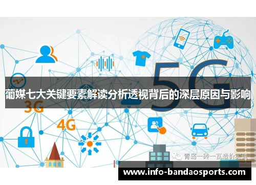 葡媒七大关键要素解读分析透视背后的深层原因与影响