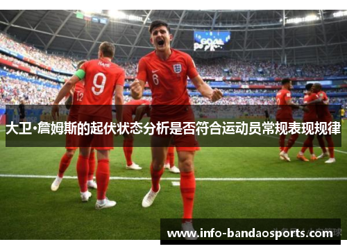 大卫·詹姆斯的起伏状态分析是否符合运动员常规表现规律
