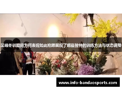 吴曦冬训期间为何表现如此抢眼展现了哪些独特的训练方法与状态调整