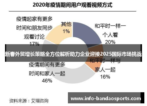 新春外贸增长策略全方位解析助力企业迎接2025国际市场挑战