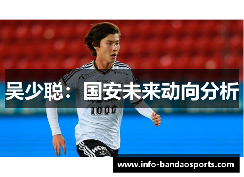 吴少聪：国安未来动向分析
