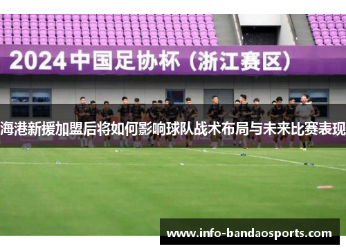 海港新援加盟后将如何影响球队战术布局与未来比赛表现