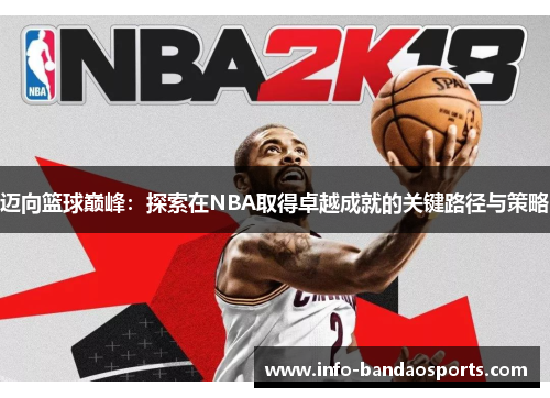迈向篮球巅峰：探索在NBA取得卓越成就的关键路径与策略