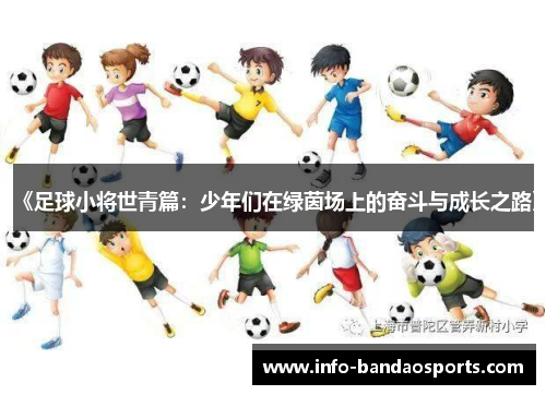 《足球小将世青篇：少年们在绿茵场上的奋斗与成长之路》