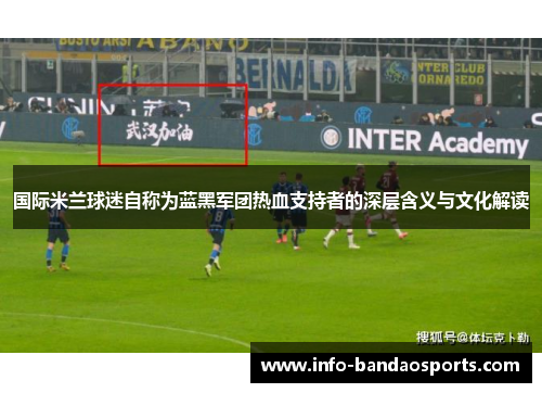 国际米兰球迷自称为蓝黑军团热血支持者的深层含义与文化解读