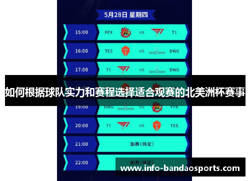 如何根据球队实力和赛程选择适合观赛的北美洲杯赛事